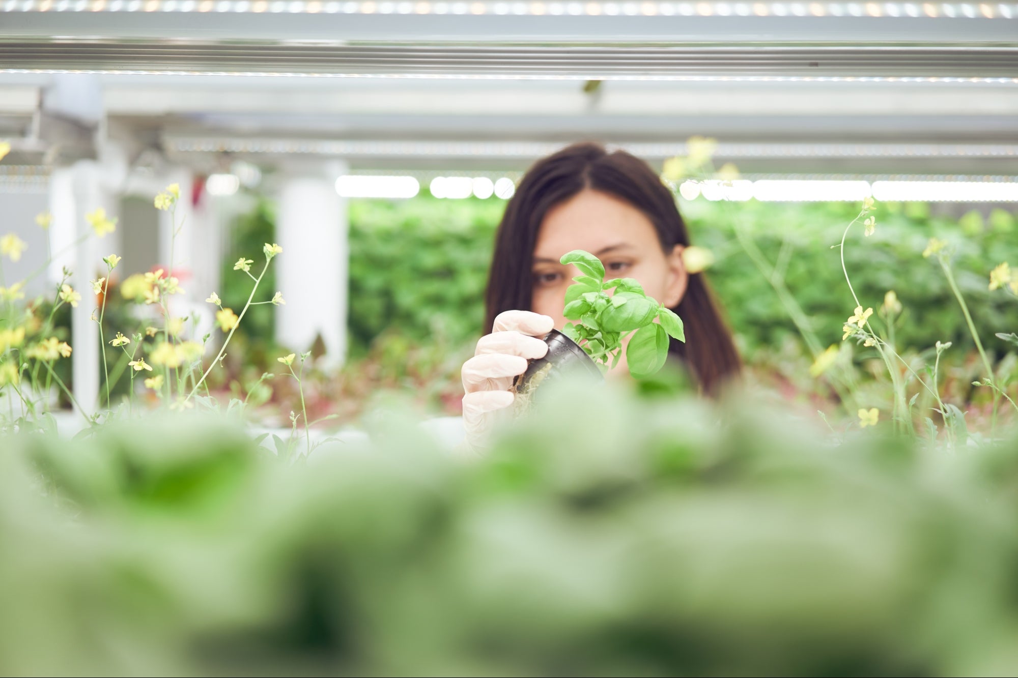 Are Basic Industries a Good Career Path?