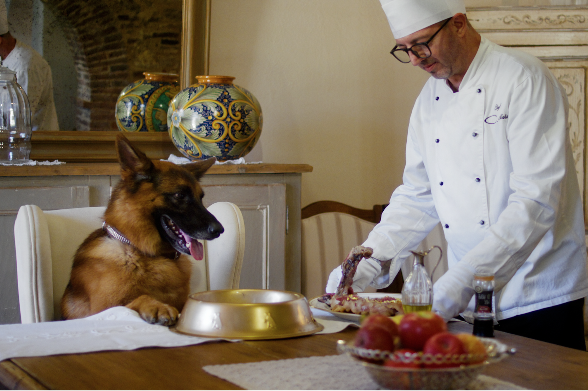 Out With the Kibble and In With the Steak. The World's Richest Dog Has a Net Worth of $400 Million – And a New Netflix Docuseries Too