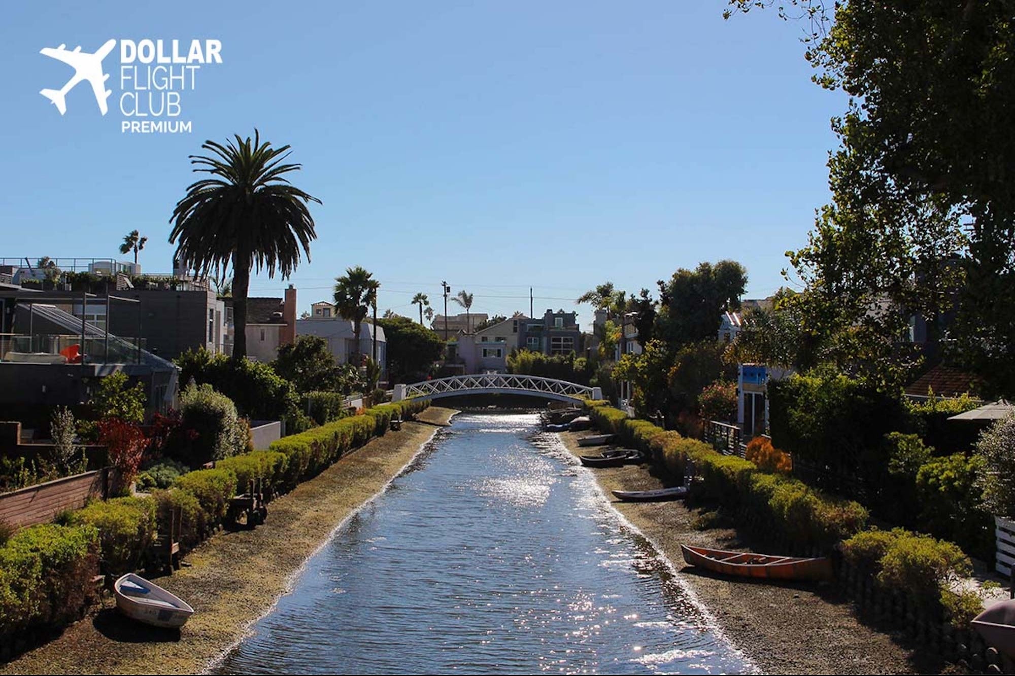 Get Hundreds Off a Dollar Flight Club for Your Employees