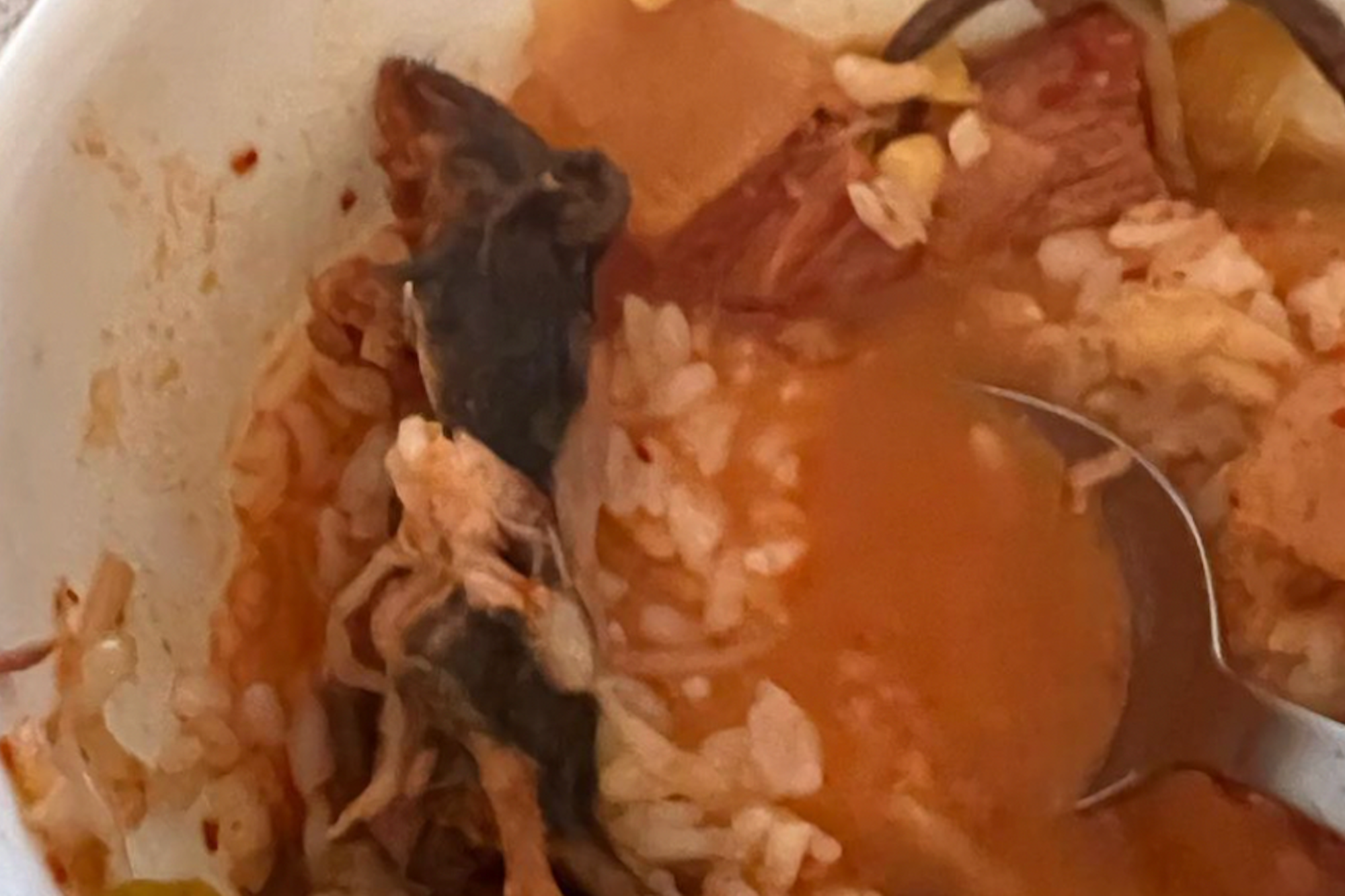 'The Most Disgusting Thing': Woman Allegedly Finds A Rat Floating In Her Soup
