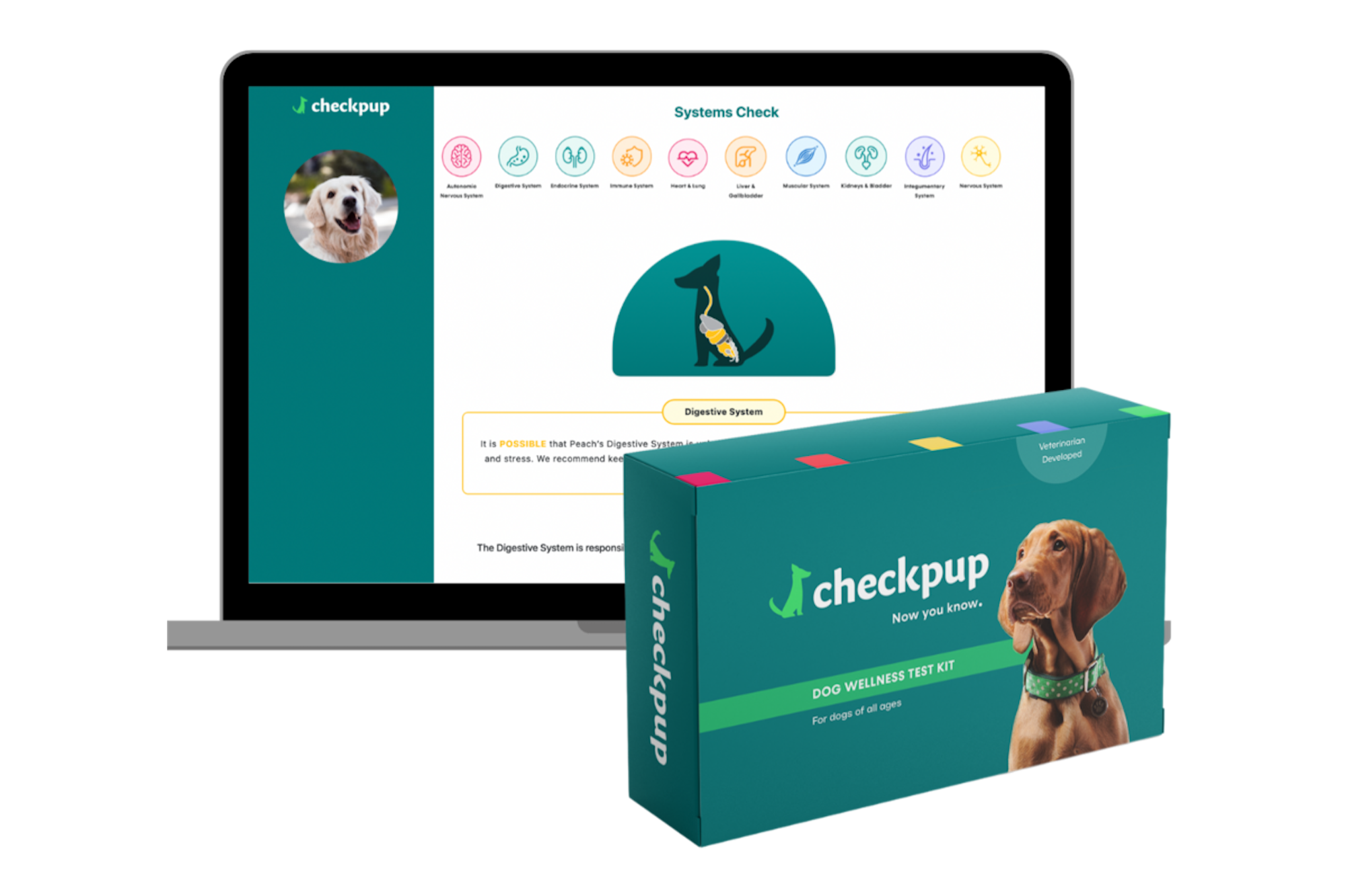 Get the Best Price Online for This Dog Health Test