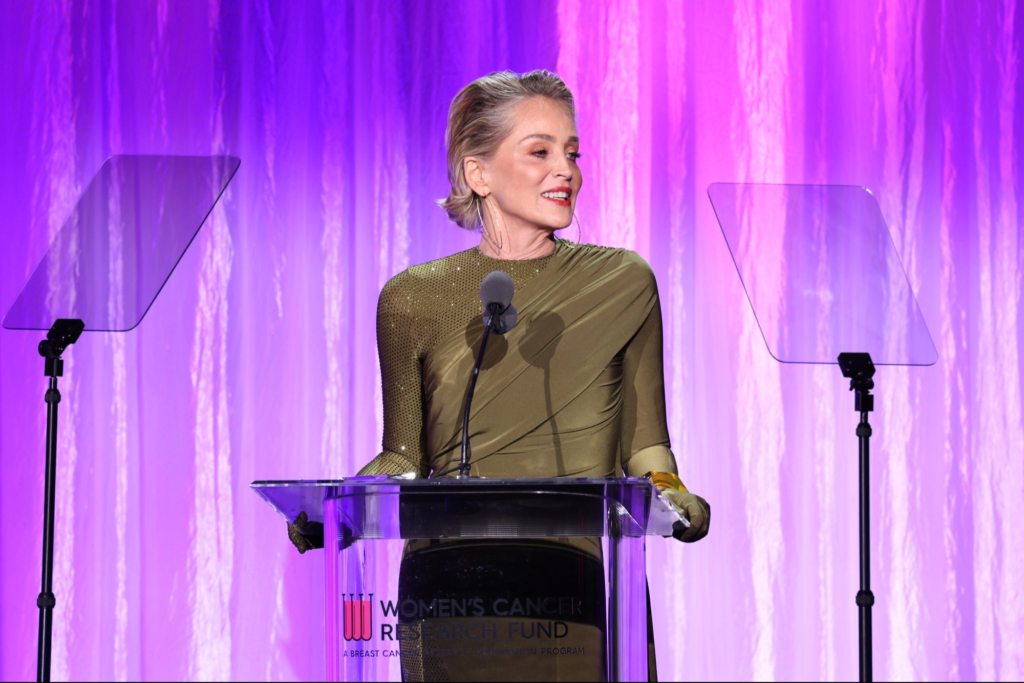 Sharon Stone After SVB Collapse: 'I Just Lost Half My Money to This Banking Thing'