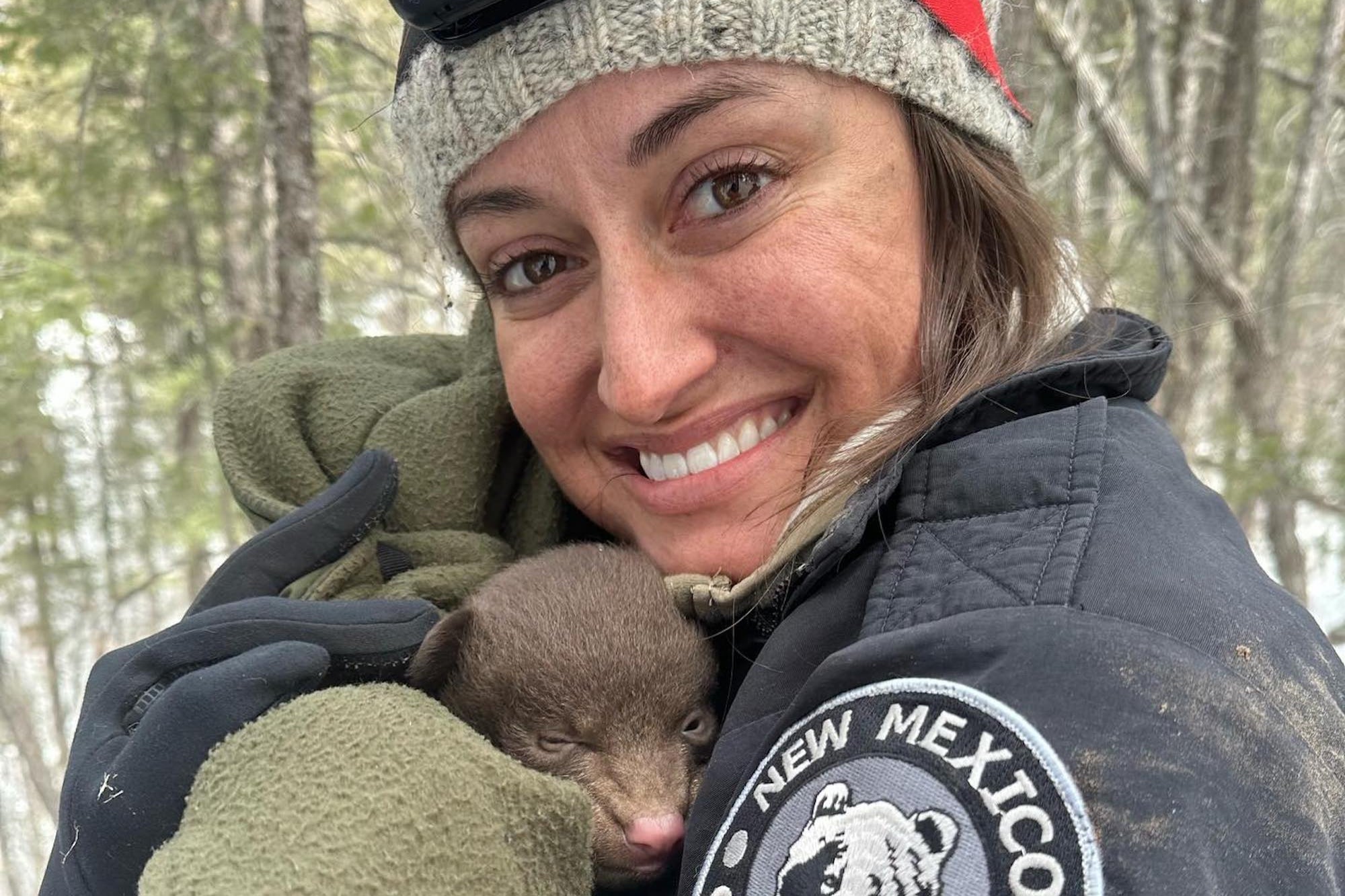 New Mexico Is Hiring Professional Bear Huggers — Here's How to Land the Dream Job