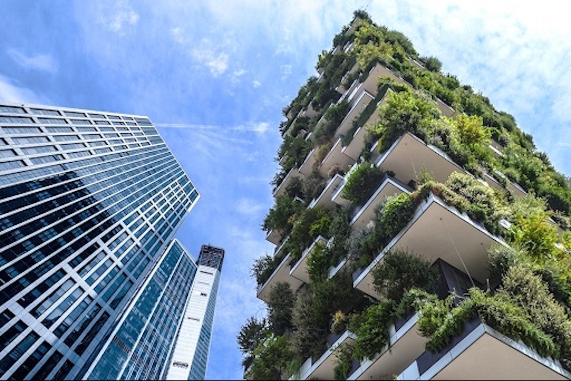 The Carbon Credit Market Could Grow 50X Bigger: How One Pioneering Platform Is Meeting the Demand