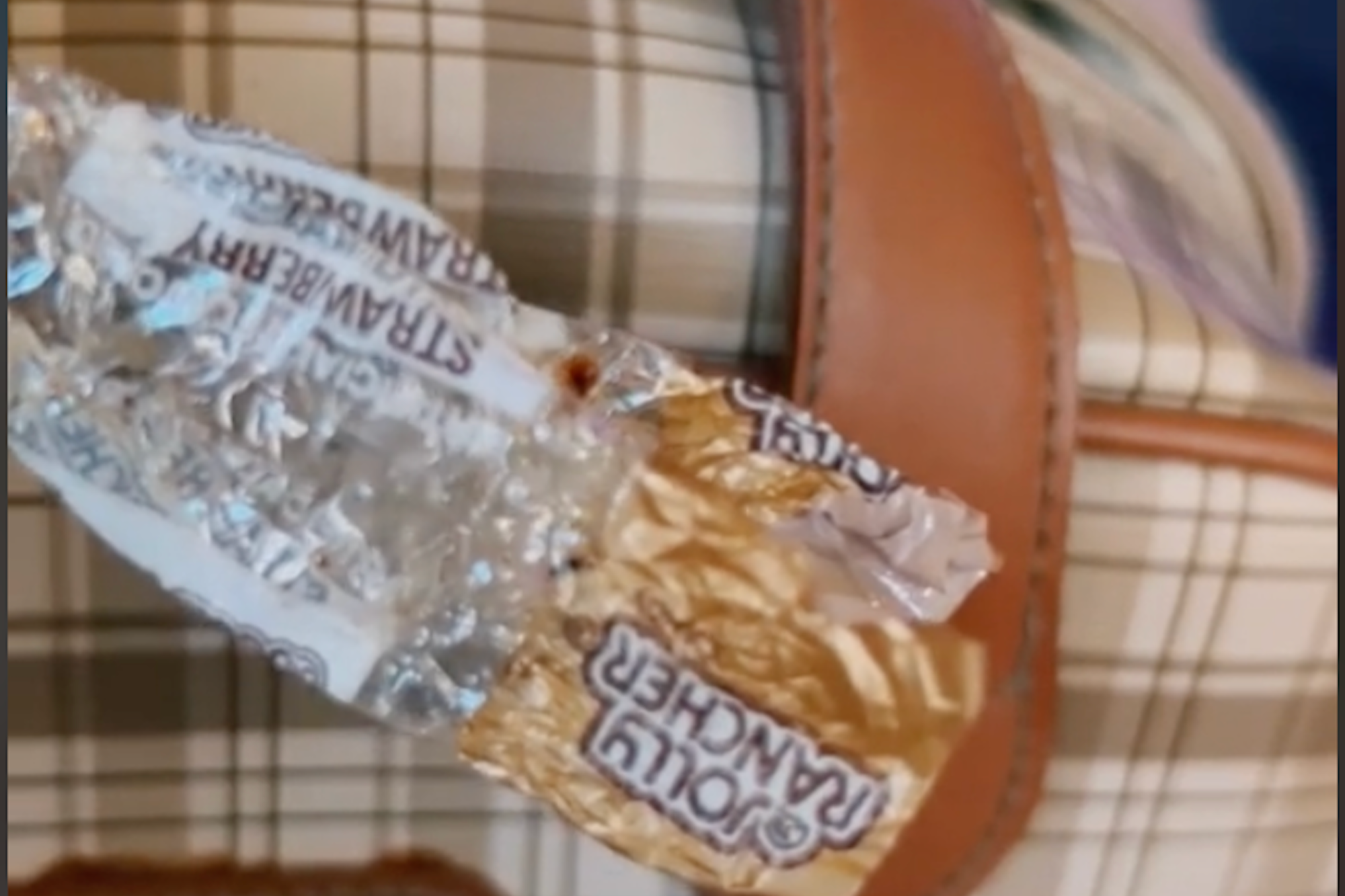 'You Found A Time Machine': Woman Finds Her JCPenney Purse From 1994 and Unlocks an Accidental Time Capsule