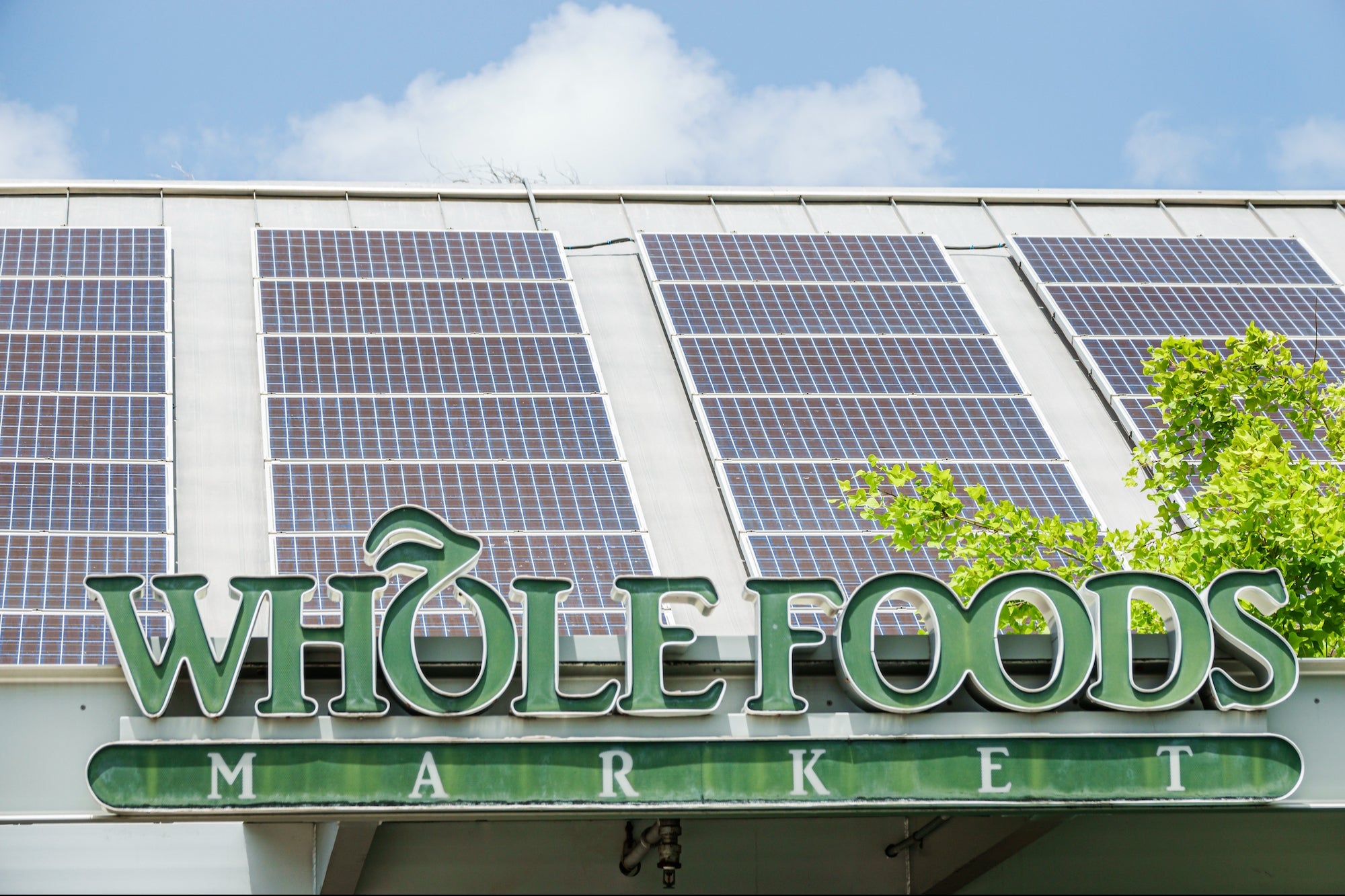 San Francisco Whole Foods Closes To 'Ensure Safety' of Employees