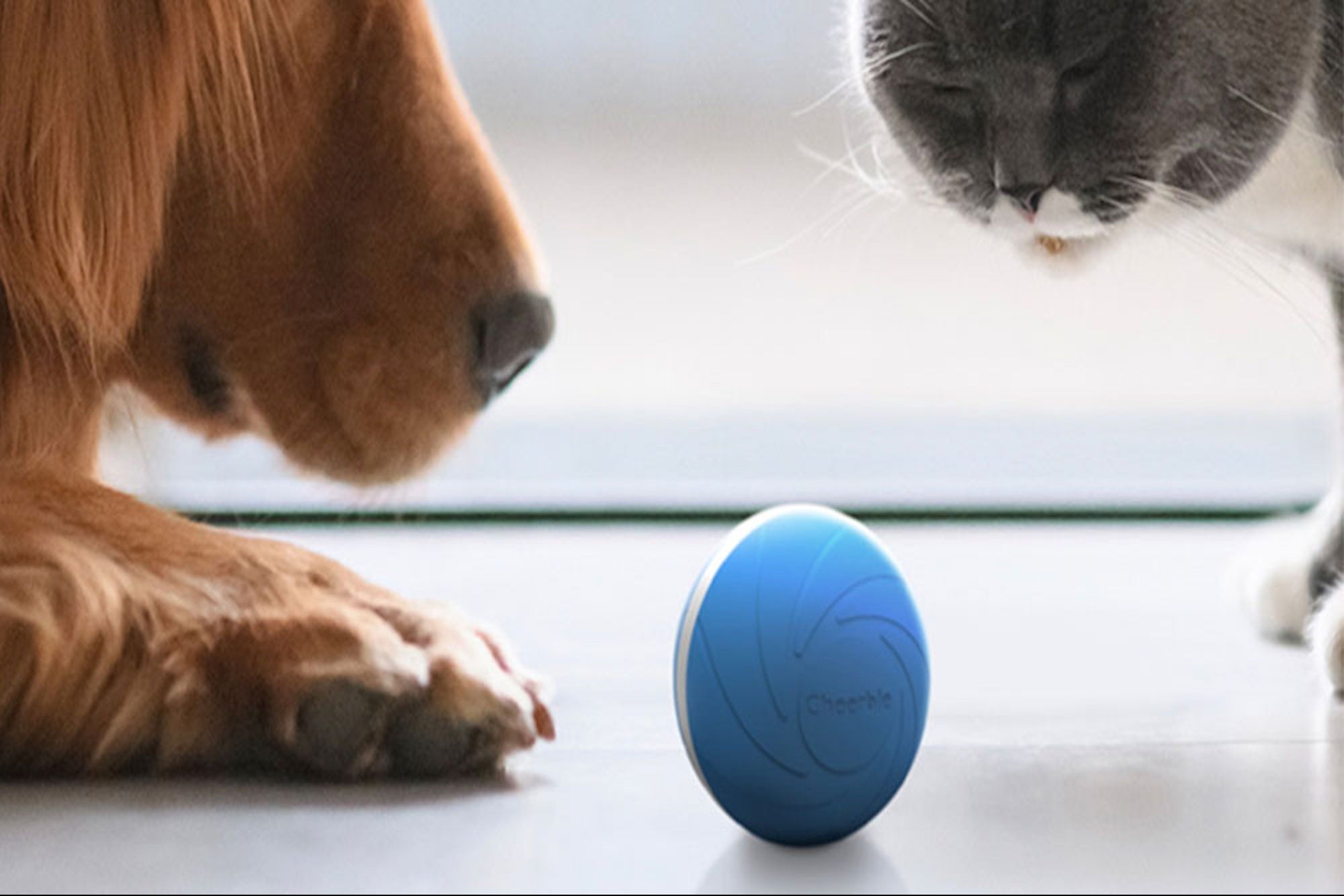 This $35 Interactive Dog Toy Could Bring Some New Customers to Your Business