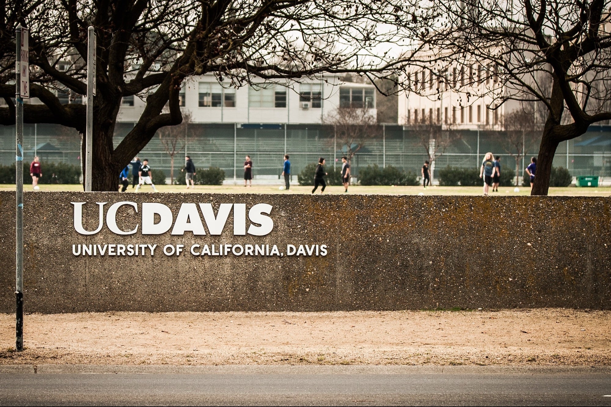 California Colleges Are Flooded With 'Ghost Students' Attempting to Steal Financial Aid