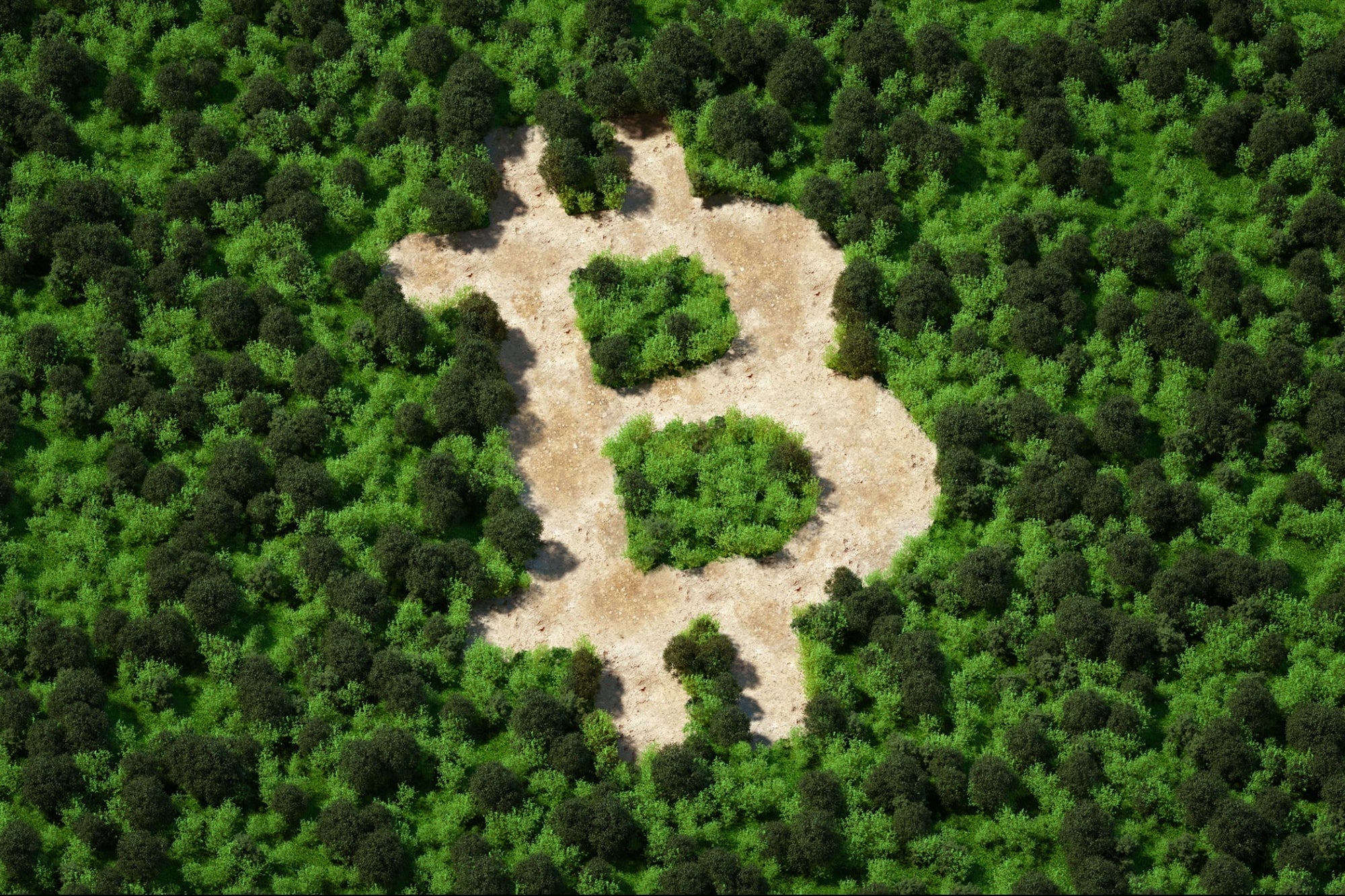 Can Crypto Go Green? Examining the Environmental Implications of Cryptocurrencies