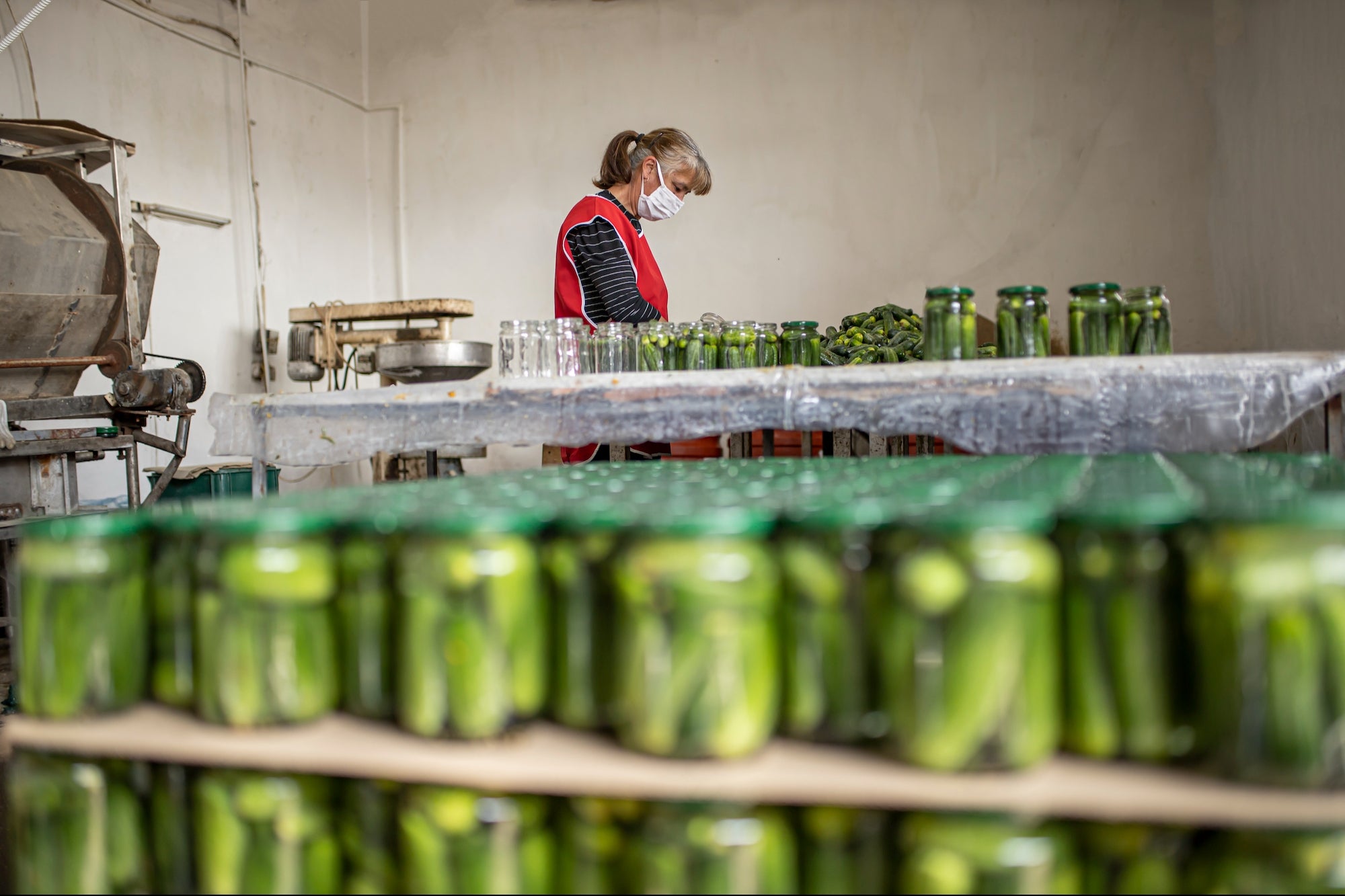 Lawsuit Alleges Pickle Brand Stole 100-Year-Old Recipe to Create Nearly Identical Product Sold in Whole Foods: 'Massive Violation of Trust'