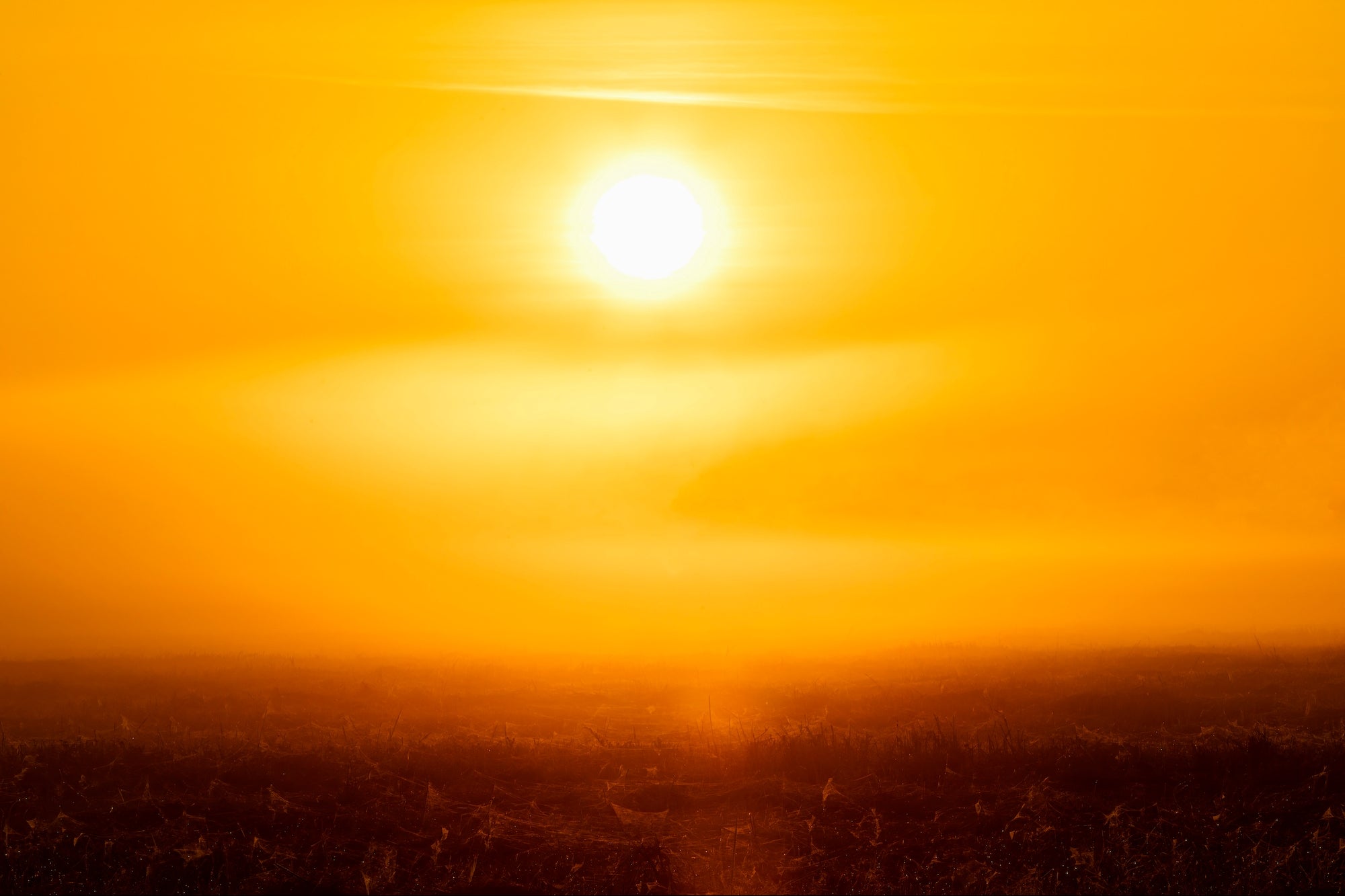 This July 4th May Have Been the Hottest Day on Earth in 125,000 Years