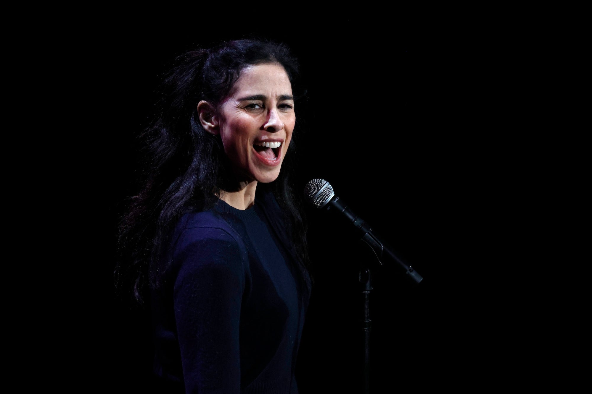 Sarah Silverman Is Suing OpenAI and Meta For 'Copyright Infringement,' Using Her Works to Train AI Models