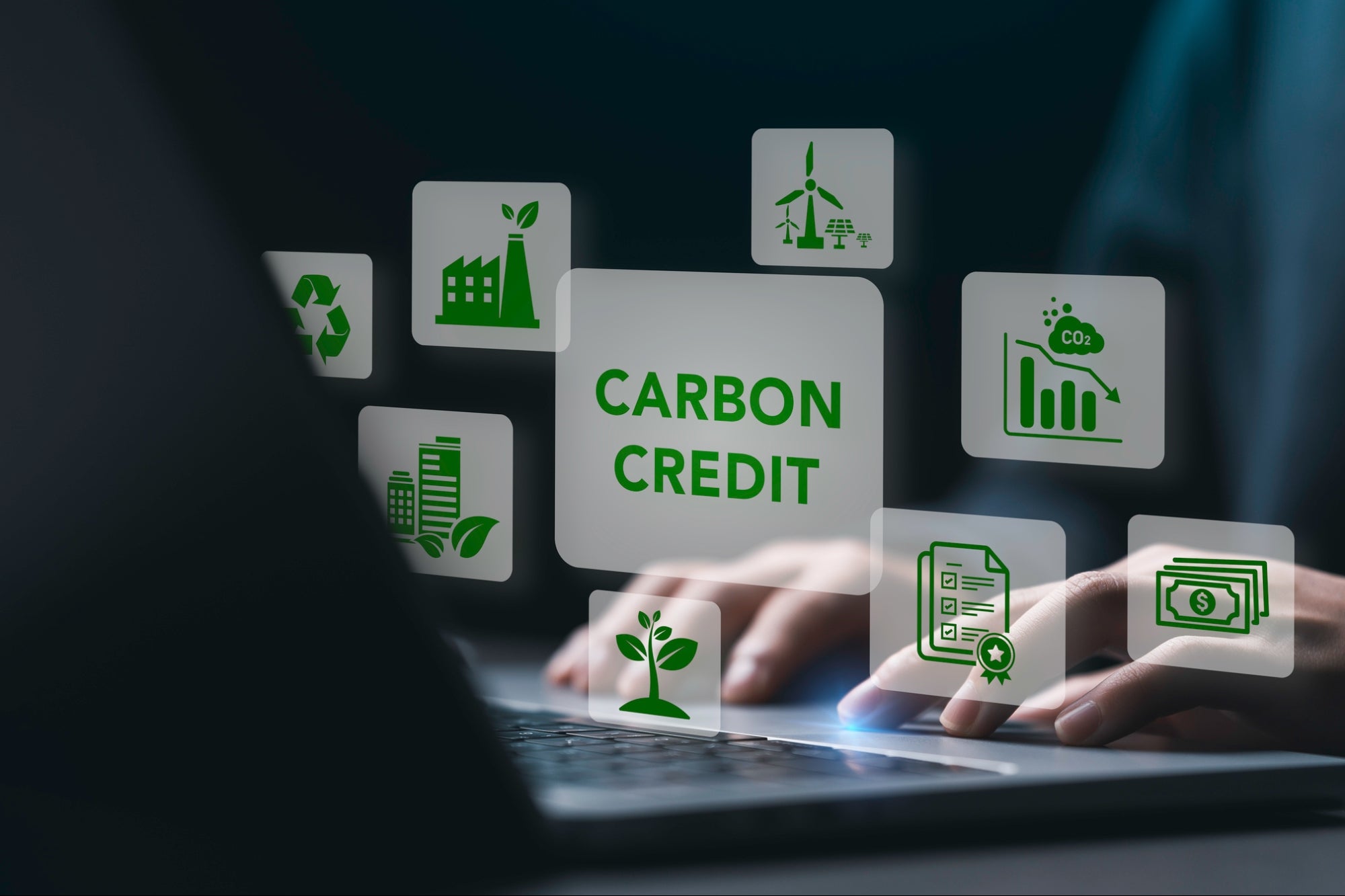 How to Choose Carbon Credits That Actually Cut Emissions