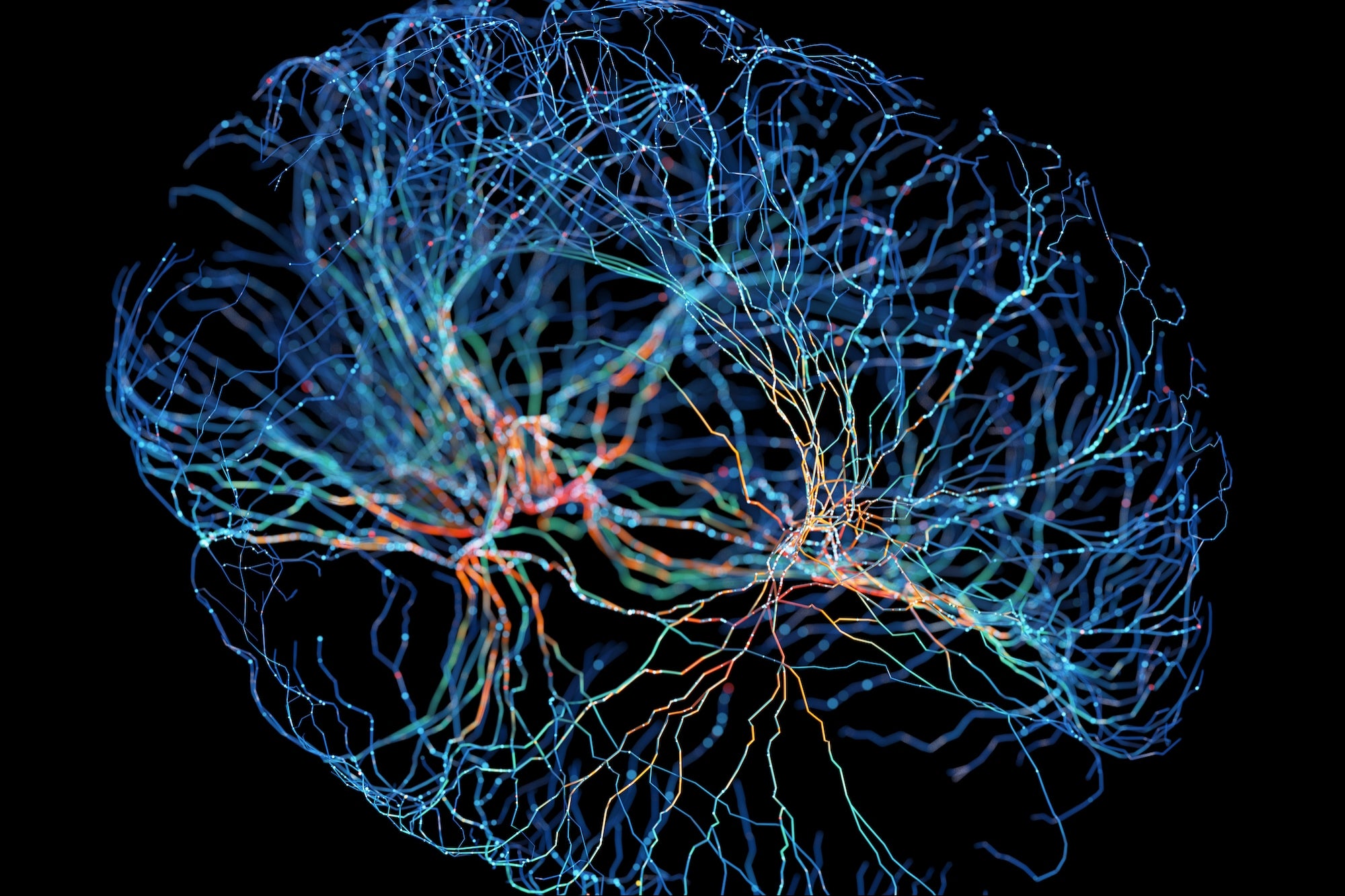 Why Digital Biology Has the Power to Change the Game Across Industries