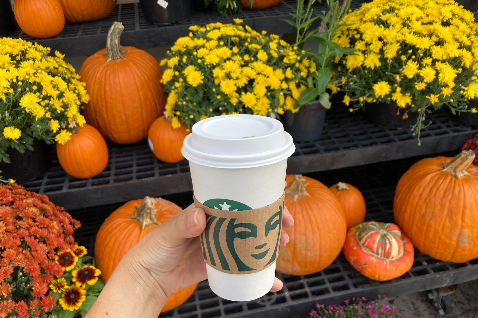 Say Hello to the 'Iced Pumpkin Cream Chai Tea Latte': Starbucks New Fall Menu Leaked Online