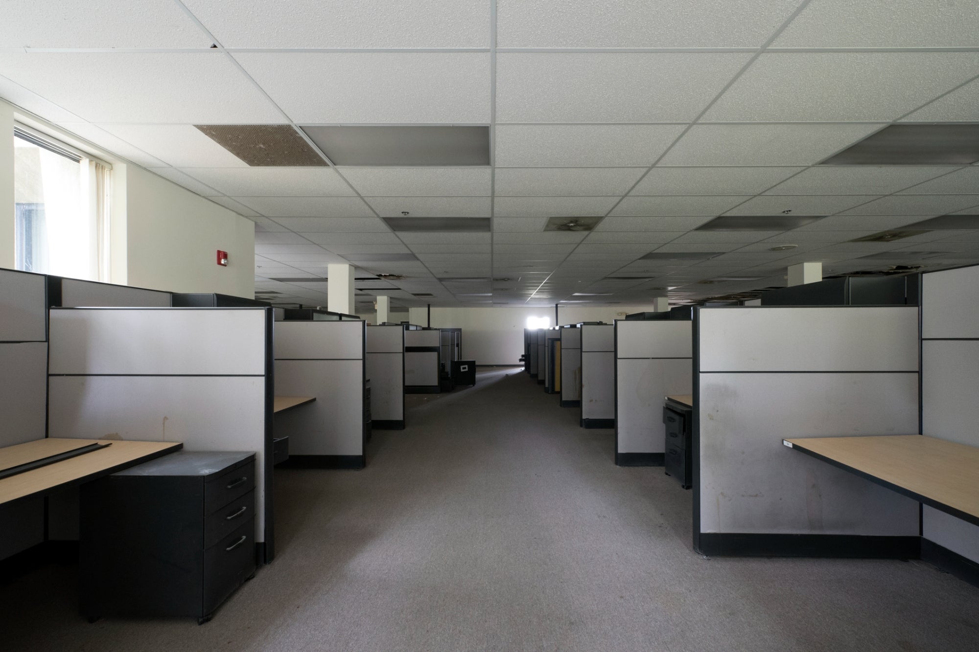 A Drab Office Environment Kills Productivity. Here Are 3 Ways to Upgrade Your Workspace.