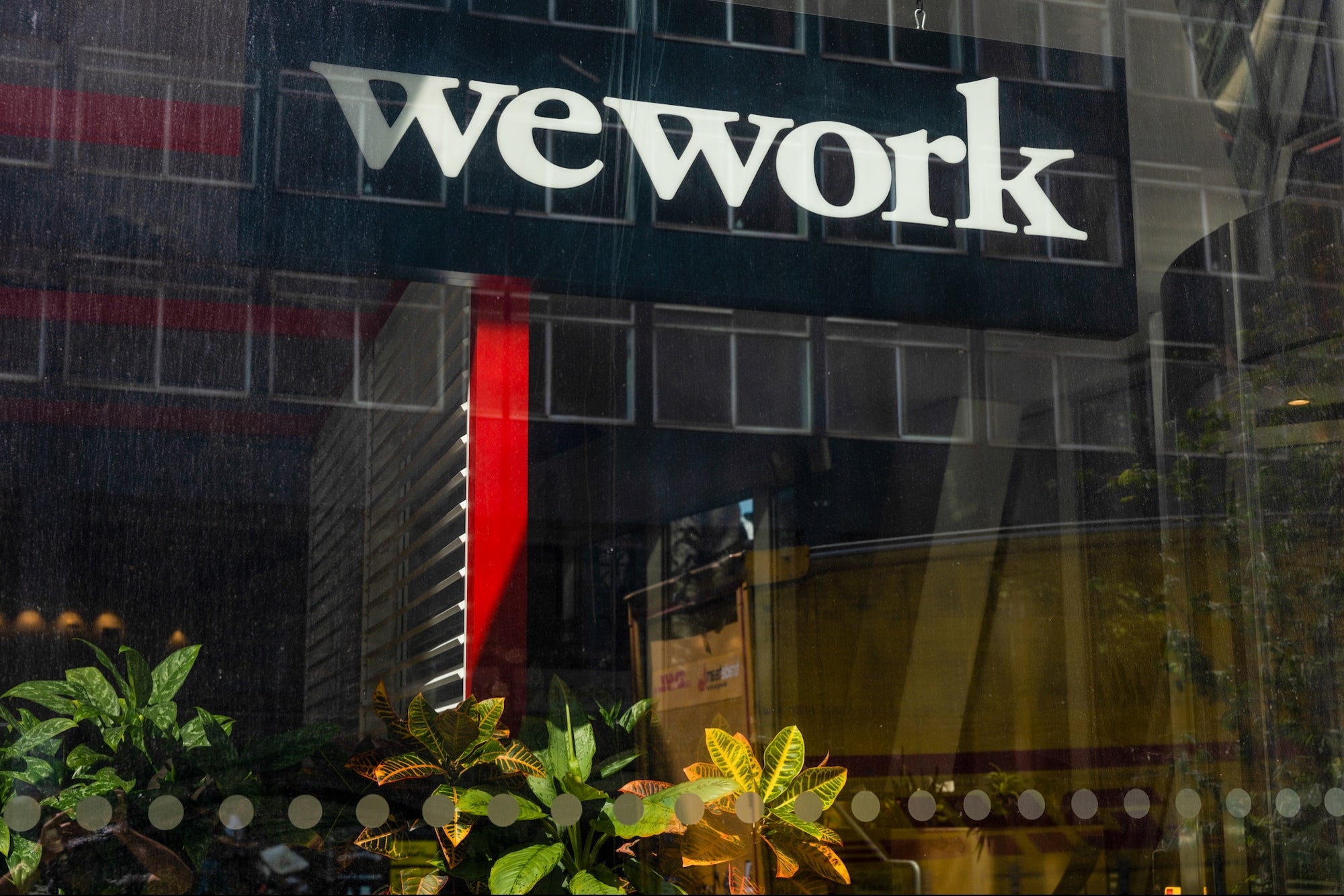 WeWork Was Once Valued at $47 Billion. Now, the Company Is Issuing a Stark Warning to Investors That It May Not Survive