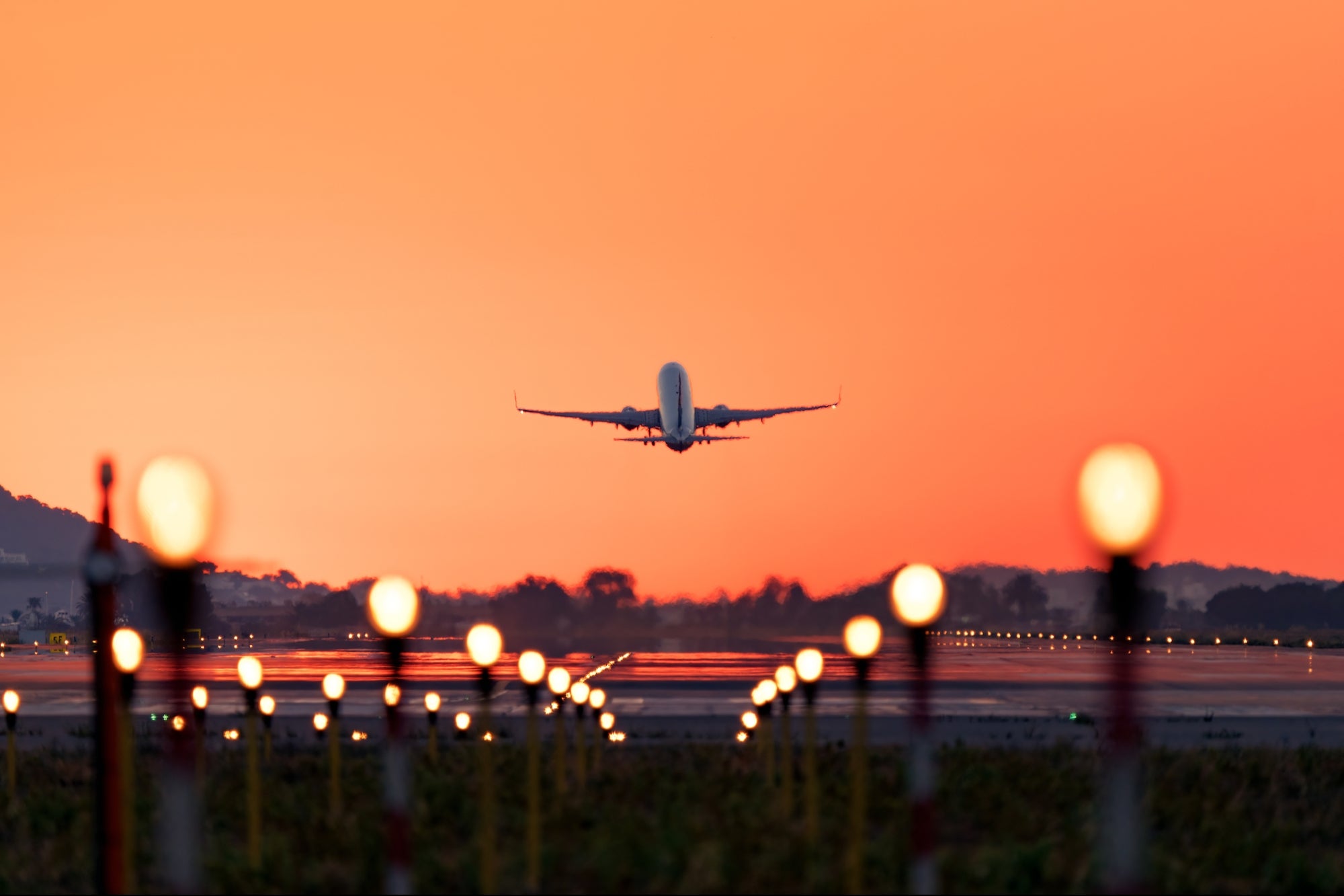 Disorderly Airline Passengers Are Disappearing in the U.S.: 'We Are Addressing This Issue Aggressively.'