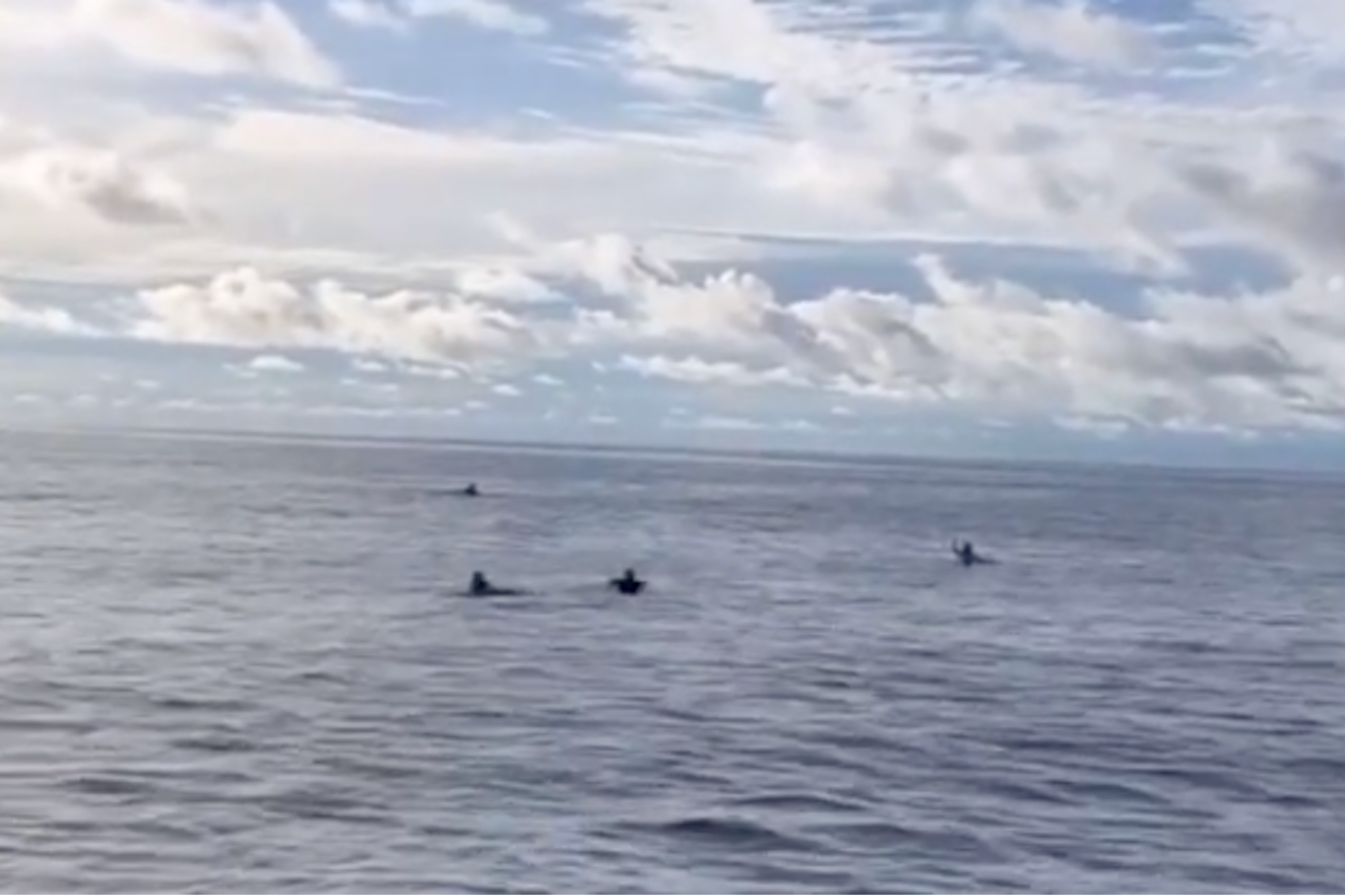 'It's Unbelievable Actually': Video Shows Four Australian Surfers Found at Sea After 38 Hours Stranded in Ocean