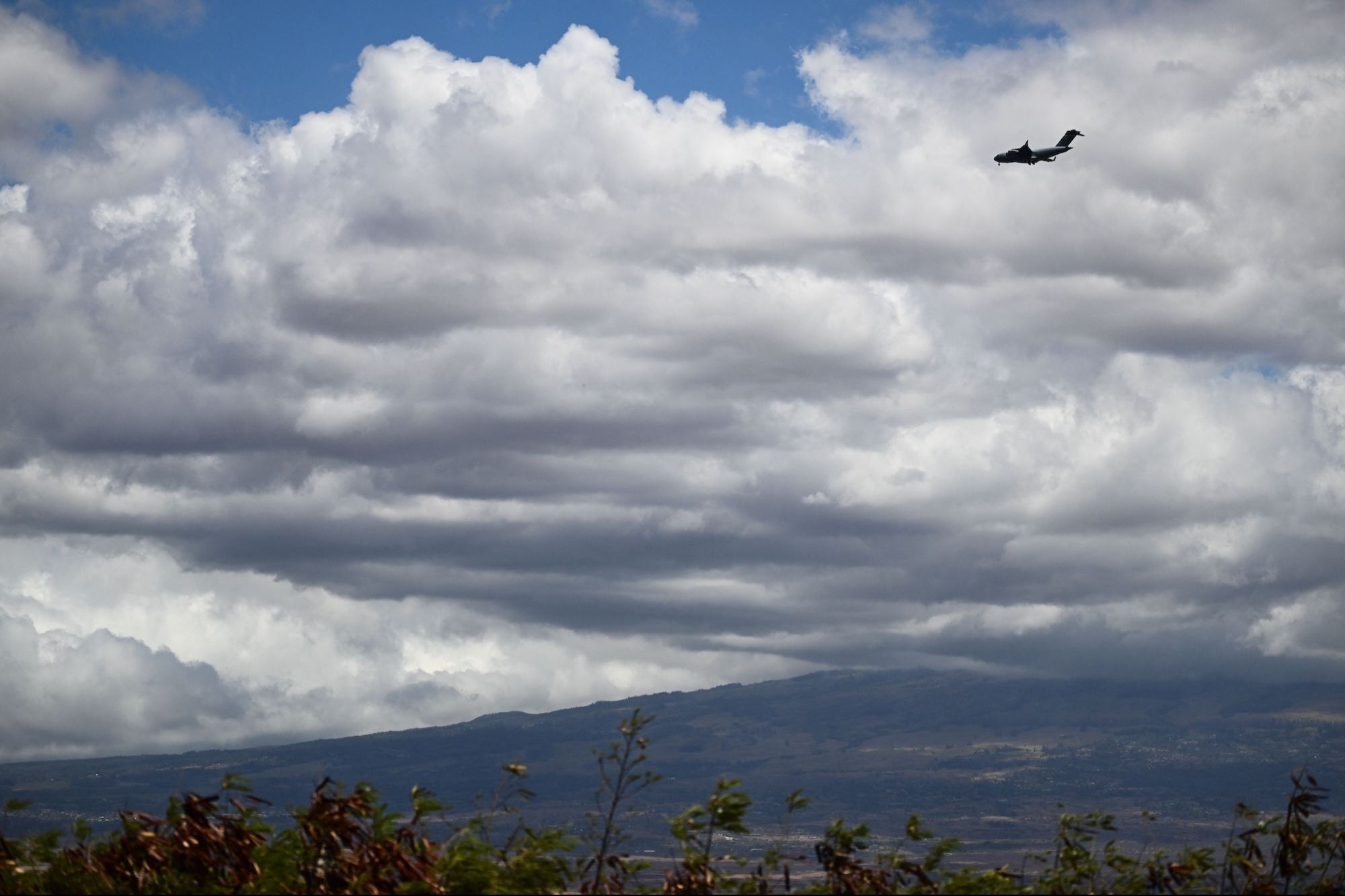 Family Scammed by Fake Southwest Airlines Agent After Being Stranded in Maui, Forced to Pay $3,400