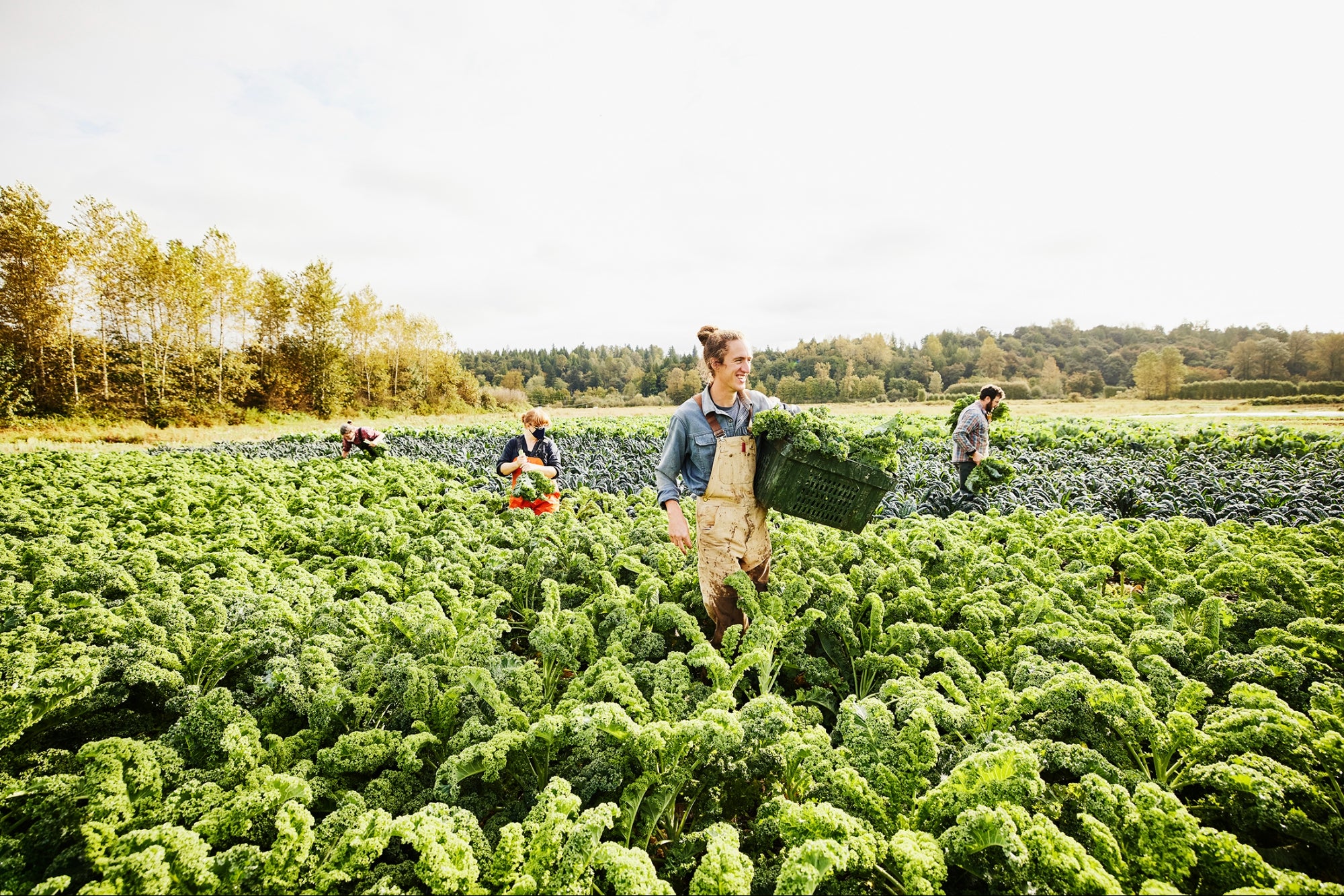 When Will We Finally Put Our Money Where Our Food Grows?