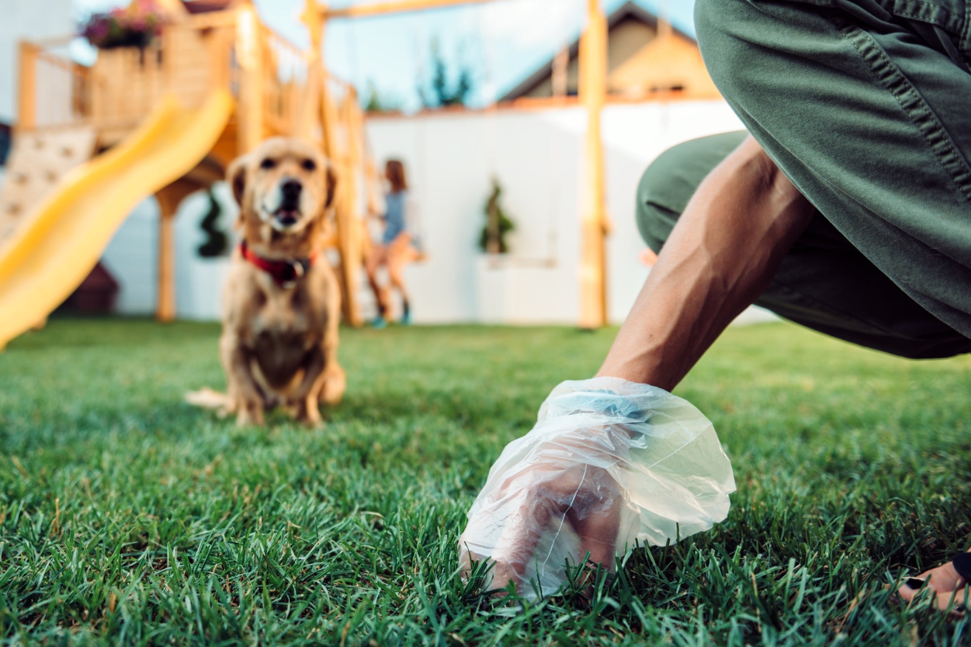 Want to Make $1 Million as a Franchisee? Clean up Some Dog Poop