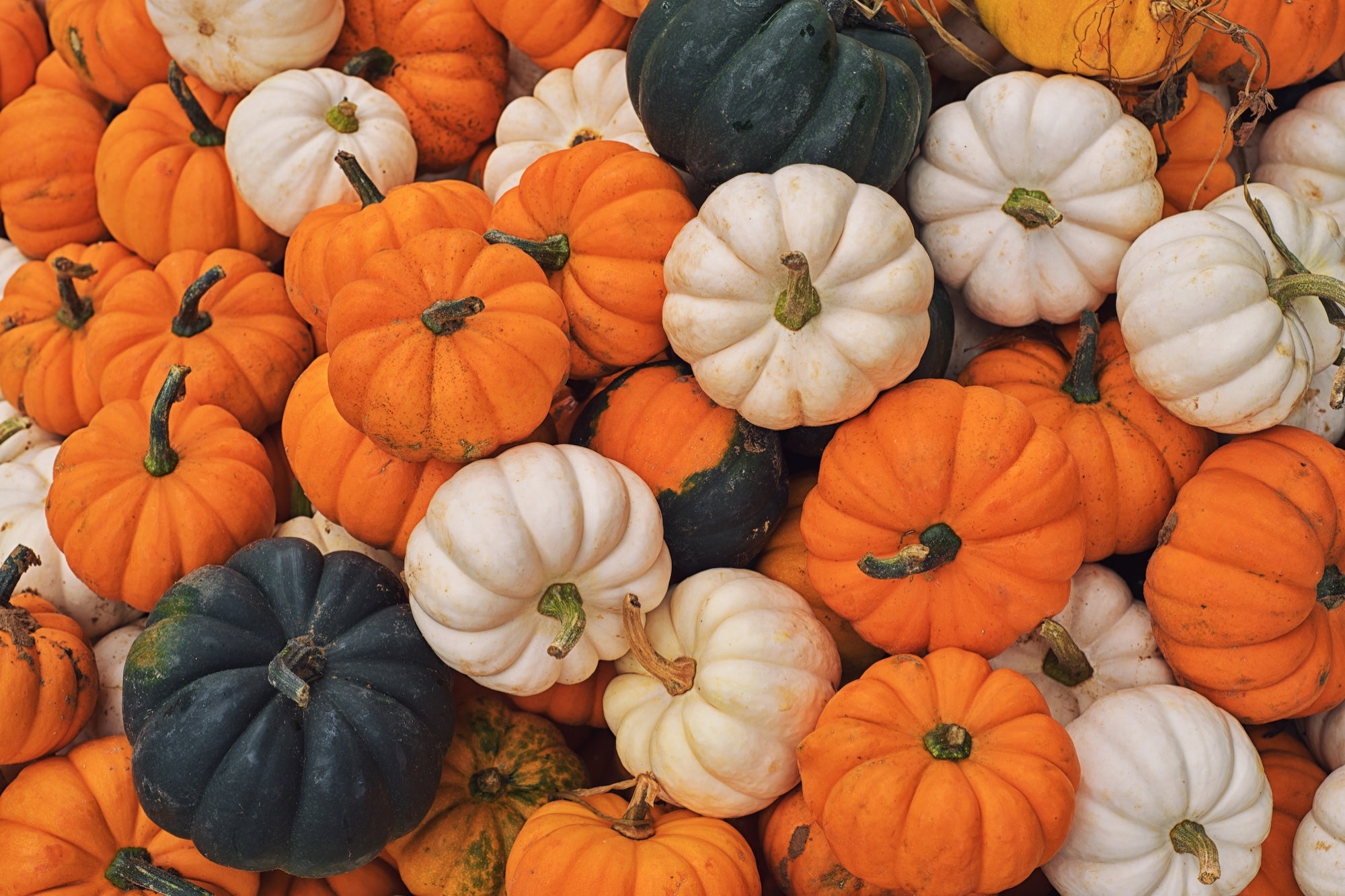 This Texas Mom's Pumpkin Porch Displays — Which Can Cost More Than $8,000 — Are Already Sold Out, Thanks to One Very Strategic Move